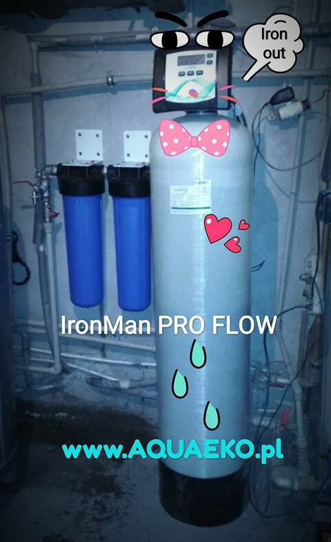 Iron Man 4D - odżelaziacz wody studziennej